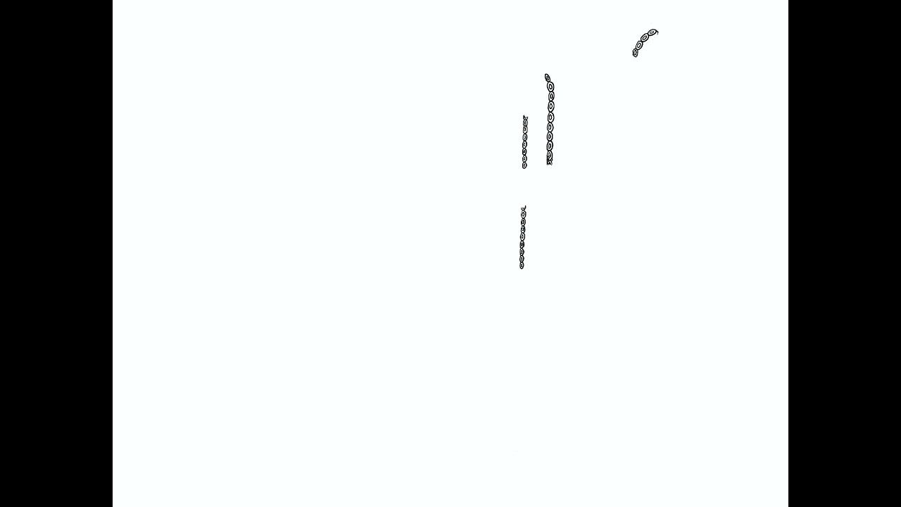 Tree of chains - Hellscape Procreate Digital Art Timelapse 