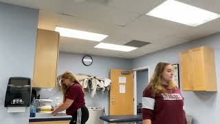 IMG 0245