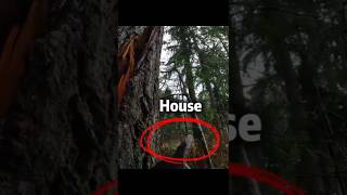 Saving a Home from destruction!
