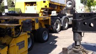 Avi Cranes Israel