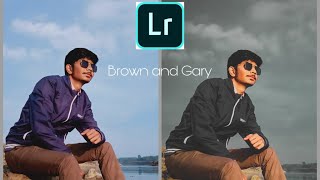 How to edit Brown and gray tone | lightroom tutorial | by photo factory 01 screenshot 4