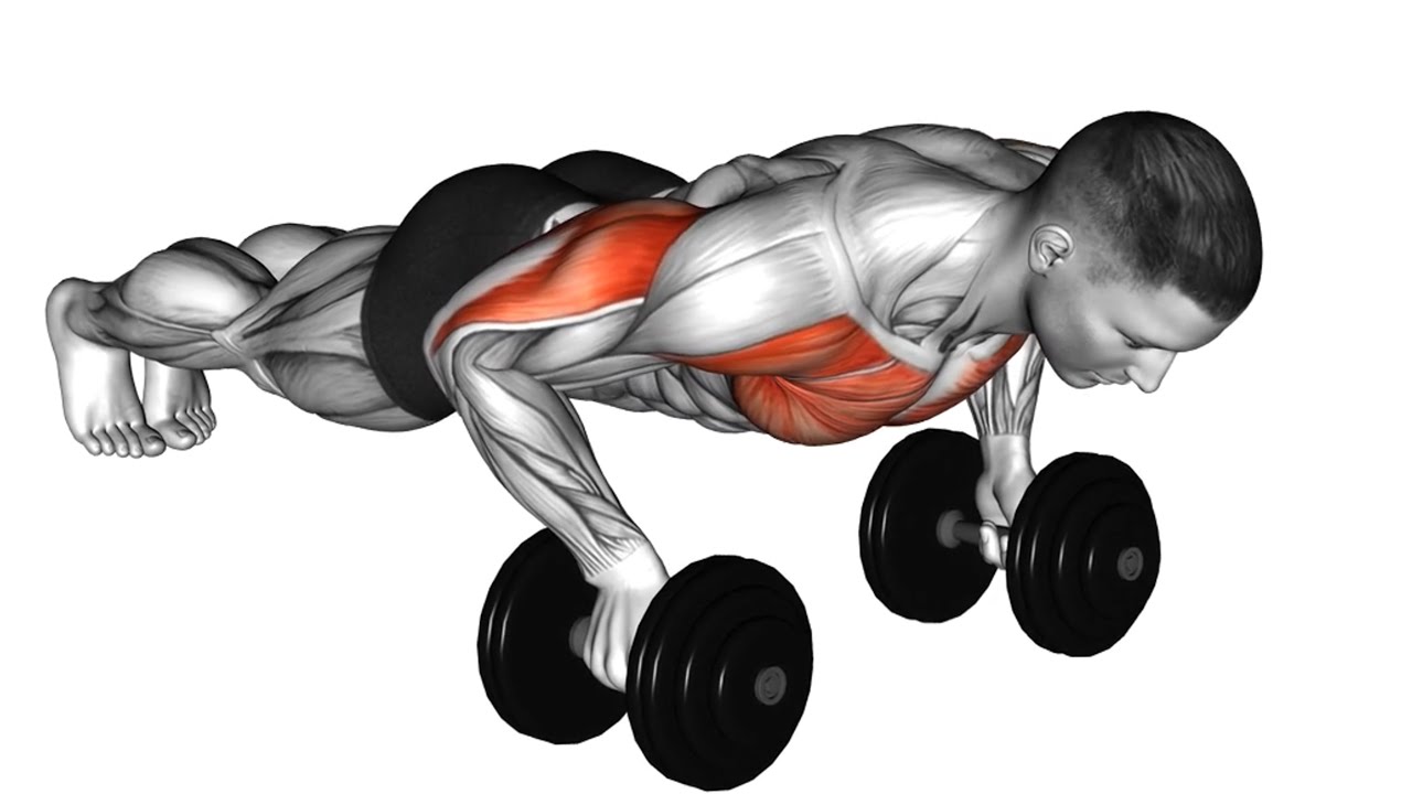 Powerful Chest Blast 6 Must Try Exercises for Upper Body Basic Body