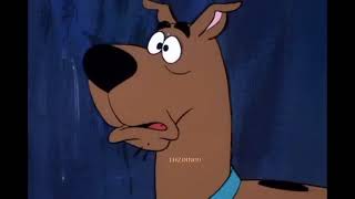 Scooby doo zueira😂🤣