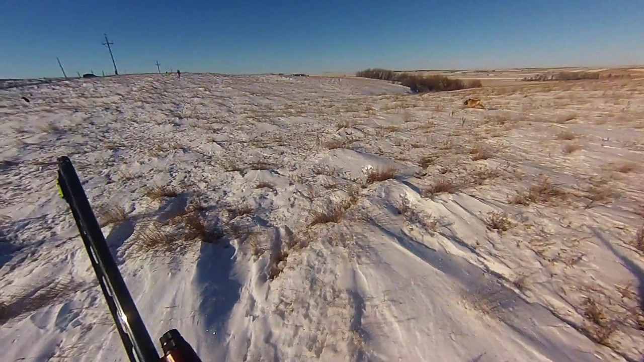 Hunt Regent, ND YouTube