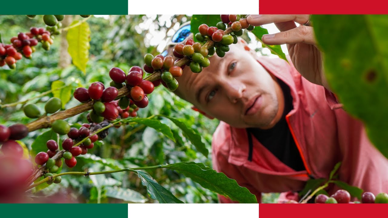 How Much Is A Coffee In Mexico