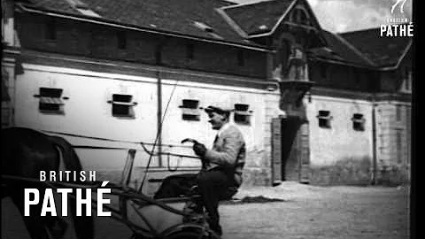 Training Trotters (1936)