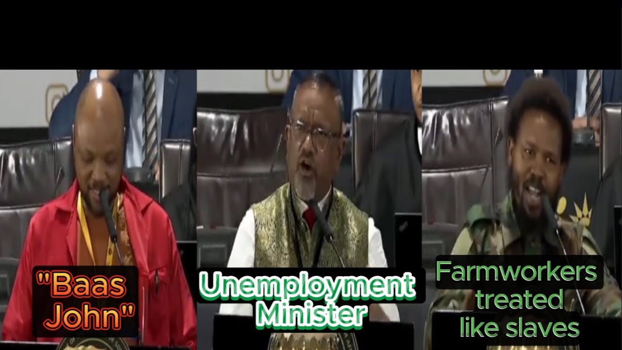 MK Party SLAMS GNU - Employment minister should be called