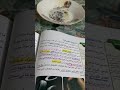 مفهوم التفاعل الكيميائي 