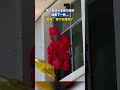 男子拿袋子清理馬蜂窩，結果下一秒...#shorts