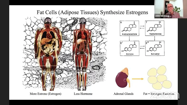 Dr. John McDougall - Estrogen Food and Women