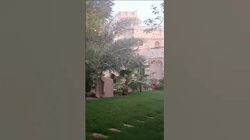 الثرية السعودية والسائق اليمني 