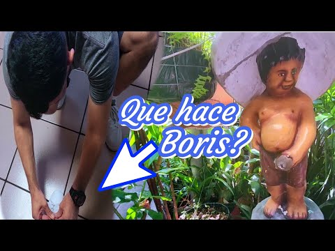 BORIS: usted mucho se la juega🤔❓||Un lugar muy peculiar 😅