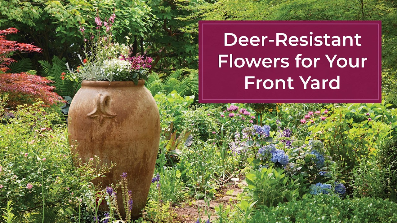 Deer-Resistant Flowers & How to Use Evergreens for Garden Structure #gardendesign
