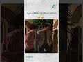 لما تاخد وحدة مو رضاينة امك فيها دراما سورية