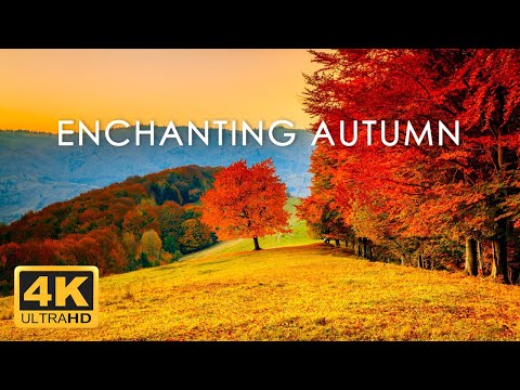 Incredible Fall Foliage Best Autumn Nature Scenes from Around the World Calming Music