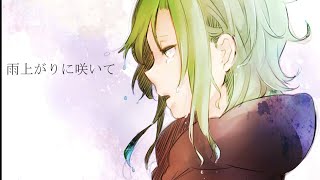 雨上がりに咲いて/GUMI　【オリジナル】