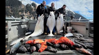 APRIL MULTI SPECIES FISHING IN HOMER, AK