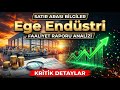 Ege Endüstri (Egeen) Faaliyet Raporu Analizi-Kritik Detaylar