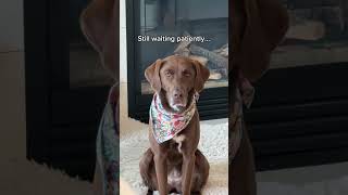 How Long Do You Think She Ended Up Waiting?