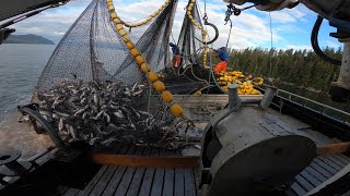 Alaska Commercial Salmon Fishing B2B2B Seining Sets - ALL GAS NO BREAKS BAYBEE !!