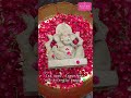 #ecofriendlyganesha Order Now! #ecofriendlyganpati #ganeshchaturthi #ganeshchaturthi2025 #ganpati