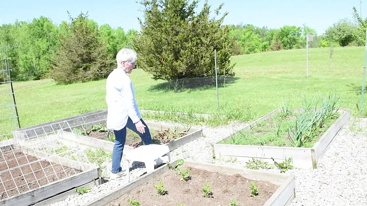 Sustainability key to Selwyn garden