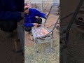 Testing the Limits: Why This Grill’s First Spin Matters More Than You Think*