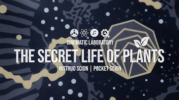 The Secret Life of Plants | From Instruo Scion to PocketScion