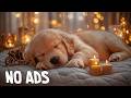 24 Hours Dog Sleep Music 🎧 Dog Calming Music - Dog Healing Soundscape For Relaxation And Ease