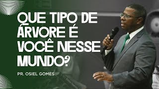 QUE TIPO DE ÁRVORE VOCÊ É NO MUNDO ? (MINISTRAÇÃO COMPLETA) - PR.OSIEL GOMES