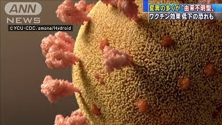 変異の多くが由来不明型　ワクチン効果低下の恐れも(2021年4月2日)