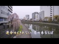 「冬 桜」カラオケ・オリジナル歌手・森 進一