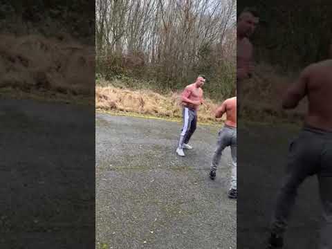 irish traveller fights