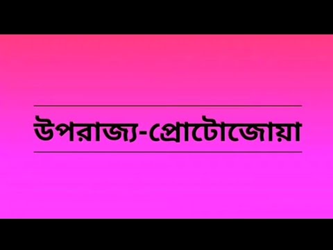 উপরাজ্য-প্রোটোজোয়া/Subkingdom-Protozoa