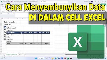 Cara Menyembunyikan Data Didalam Cell Excel