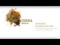TERRA Award, 1er prix mondial des architectures contemporaines en terre crue