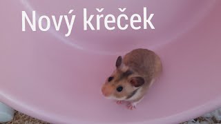 Jedu si pro nového křečka 🐹