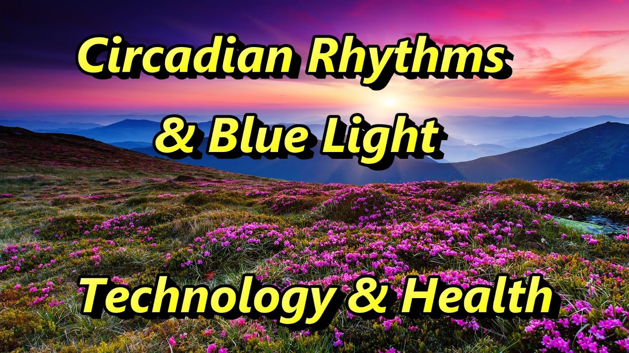 Circadian Rhythms & Blue Light: How Blue LIght Affects Our Circadian ...
