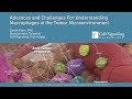 Advances and challenges for understanding macrophages in the tumor microenvironment