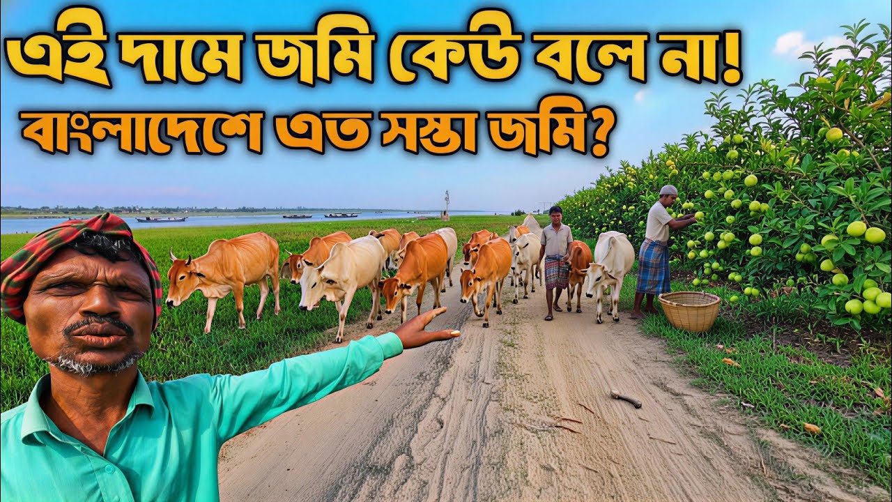 যারা কম টাকায় জমি খুঁজছেন, এই গ্রাম না দেখলে বিশ্বাস করবেন না