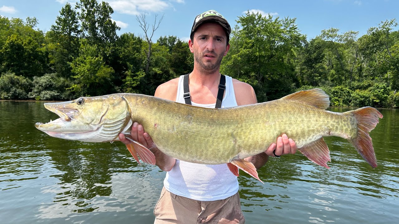 47" Musky caught while bass fishing - No net 😱 (Video contains strong language)