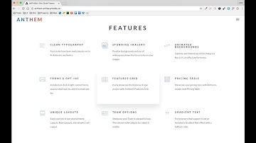 ANTHEM - Features Grid - Divi Child Theme