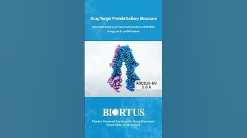 Watch Biortus