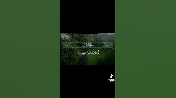 سوره التكاثر