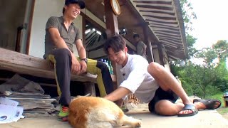 [삼시세끼고창편] 남주혁 훈련시키는 겨울이