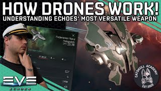 How Drones Work!! The Most Versatile Weapon System Explained!! || EVE Echoes