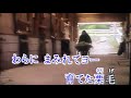 達者でナ カバー 唄:美里 胡往(みさと こう)