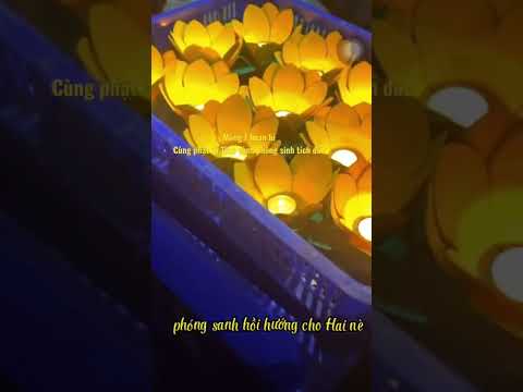 Video Phóng sinh cùng cố ca sĩ Phi Nhung #short #phinhung... - youtube