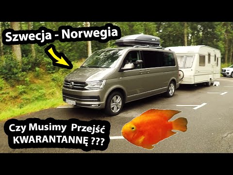 Jedziemy przez Szwecję z Przyczepą Kempingową !!! - Wyjazd z Promu w Trelleborg *granica (Vlog #466)