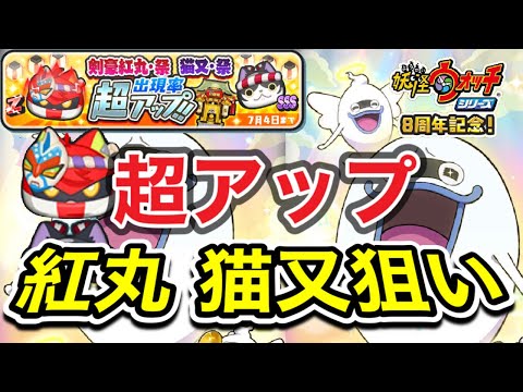 ぷにぷに 剣豪紅丸祭 猫又祭 狙いガシャ 出現率超アップ 妖怪ウォッチぷにぷに Youtube